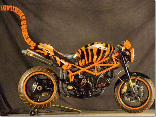 Ducati Monster Tigre